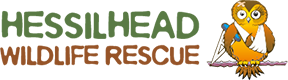Hessilhead Wildlife Rescue