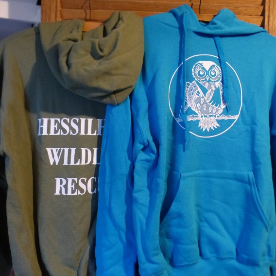 Both our forrest green and blue Hessilhead hoodies hanging up showing both the front and back